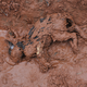 Illustration for article titled Hungarian toxic sludge kills 4, injures at least 120 — and it may be headed for the Danube
